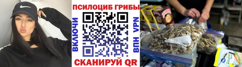 Галлюциногенные грибы Psilocybe  это как зайти  Игра 